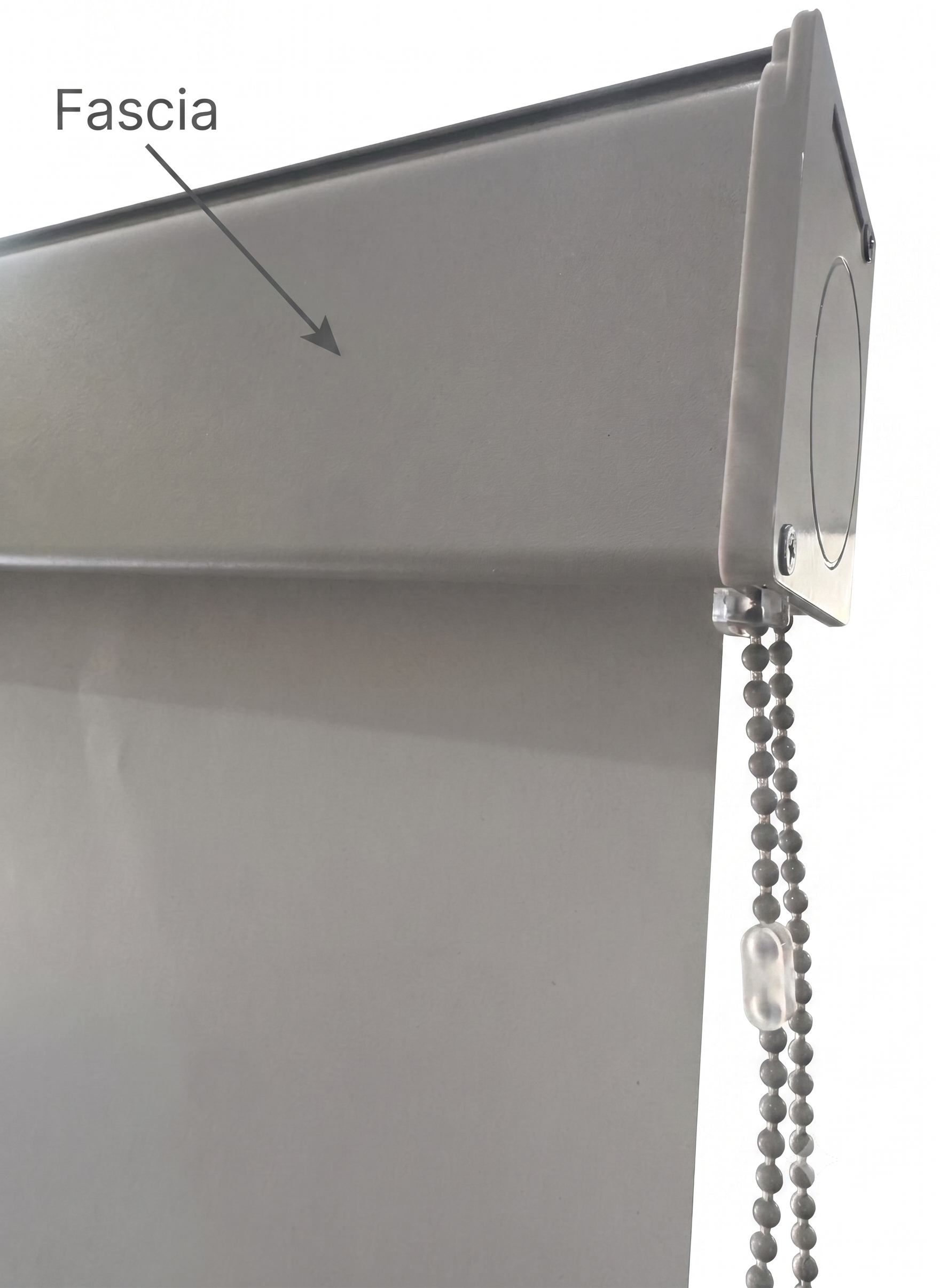 Roll-Up Blackout Vinilo con Fascia -50%